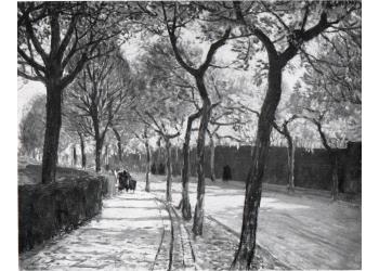 Il Viale dei colli Il Viale dei colli